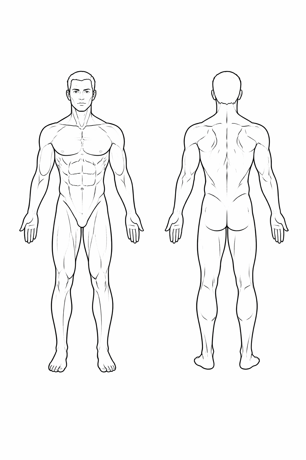 The Pain Homunculous