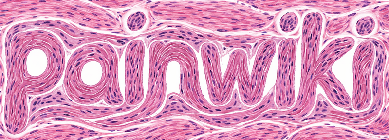 File:Wordmark crop.png