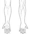 Thumbnail for version as of 21:32, 26 May 2026